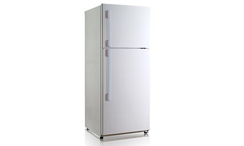 fridge ignis rmd