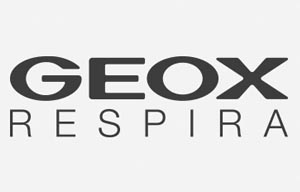 logo geox rectangle